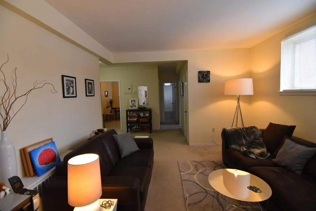 1 bed, 1 bath apartment for rent at 45 Green St Unit B2, Coolidge Corner — photo 7 of 13