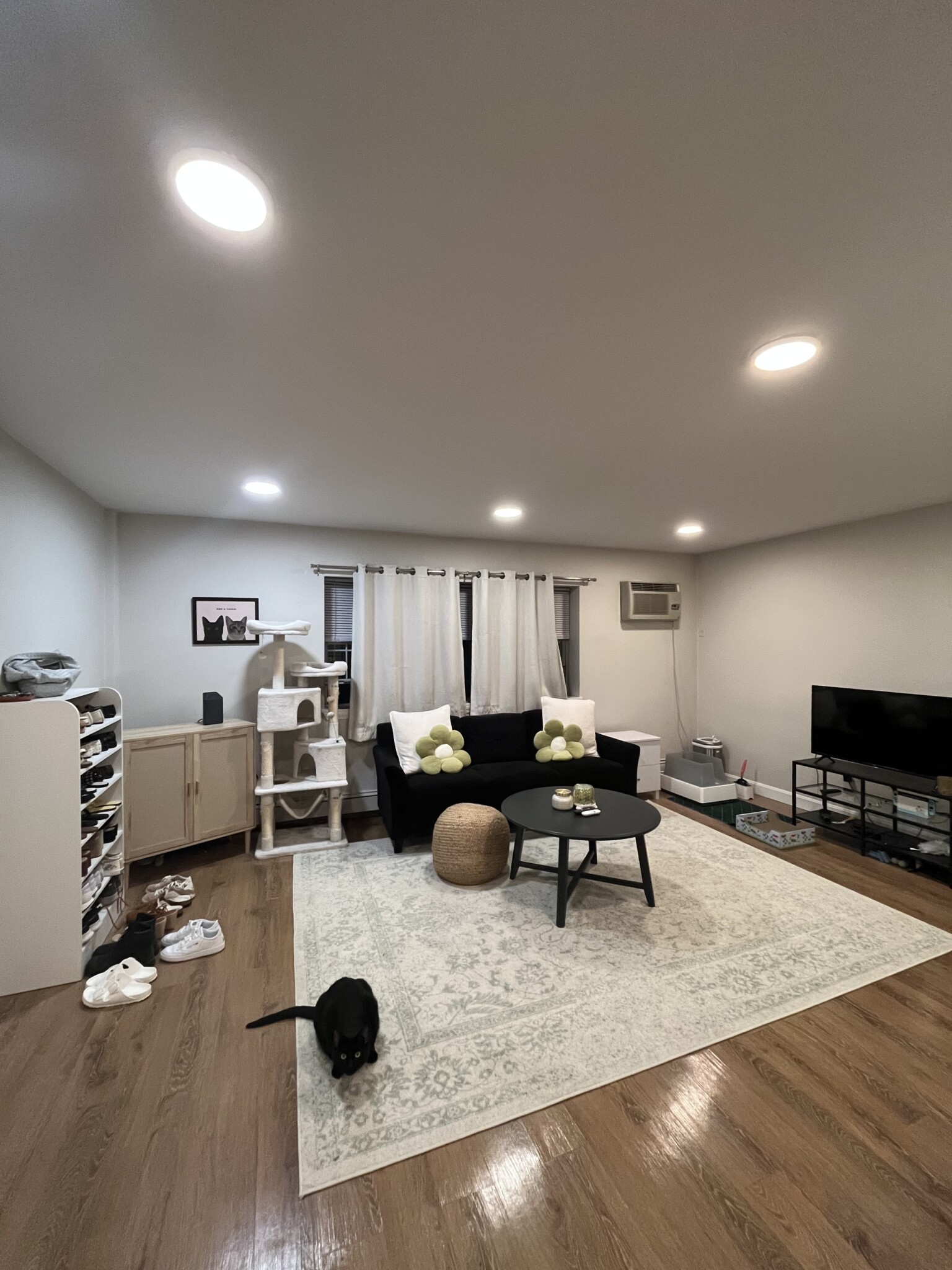 1 bed, 1 bath apartment for rent at 45 Judith Ln Unit 8, North Waltham — photo 5 of 10