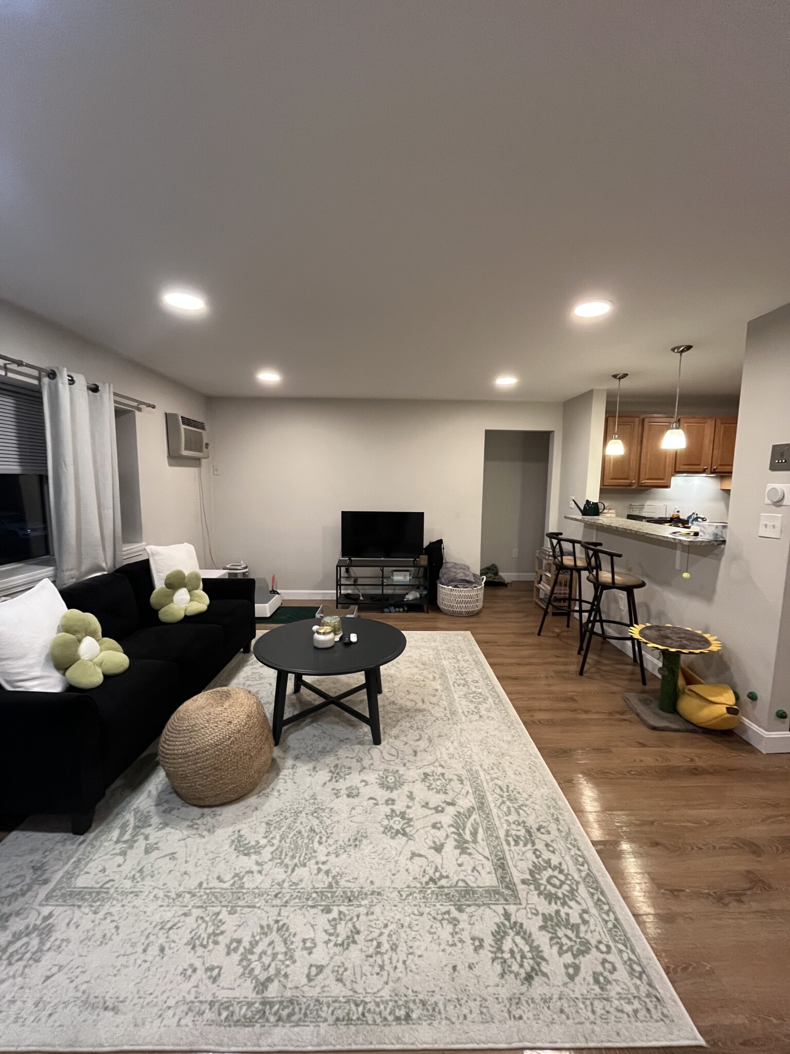 1 bed, 1 bath apartment for rent at 45 Judith Ln Unit 8, North Waltham — photo 4 of 10
