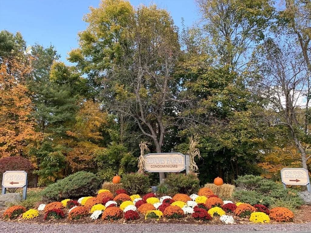 2 bed, 1 bath apartment for rent at 45 Kennedy Dr Unit 45, North Chelmsford — photo 2 of 11