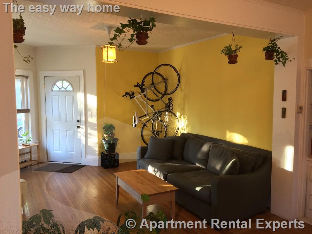 1 bed, 1 bath apartment for rent at 45 Kingston St Unit 1, Davis Square — photo 2 of 18