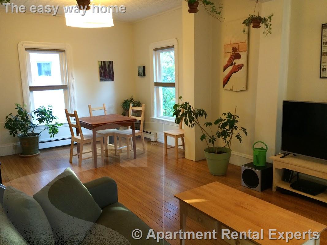 1 bed, 1 bath apartment for rent at 45 Kingston St Unit 1, Davis Square — photo 7 of 18