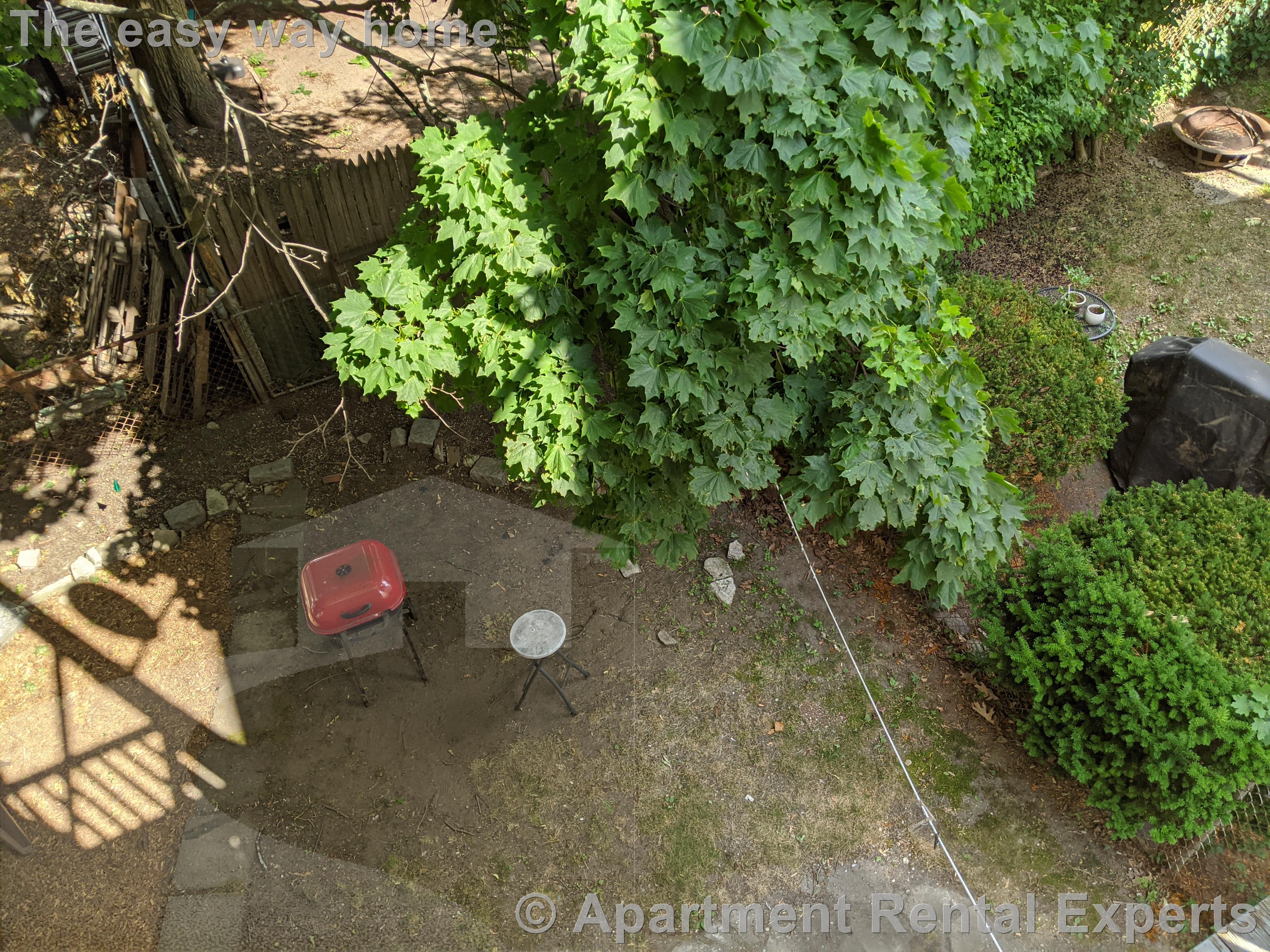 3 bed, 1 bath apartment for rent at 45 Litchfield St Unit 2, Allston — photo 23 of 24