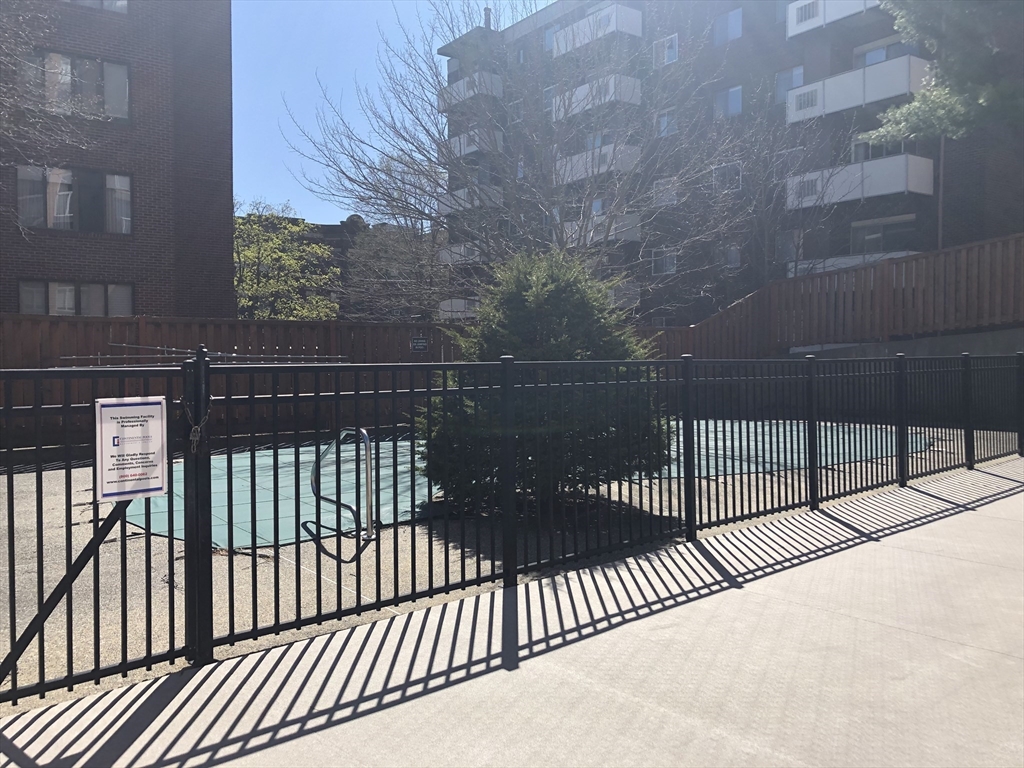 Studio bed, 1 bath apartment for rent at 45 Longwood Ave Unit 403, Coolidge Corner — photo 10 of 11