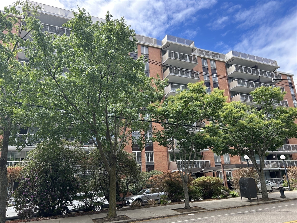 Studio bed, 1 bath apartment for rent at 45 Longwood Ave Unit 403, Coolidge Corner — photo 1 of 11