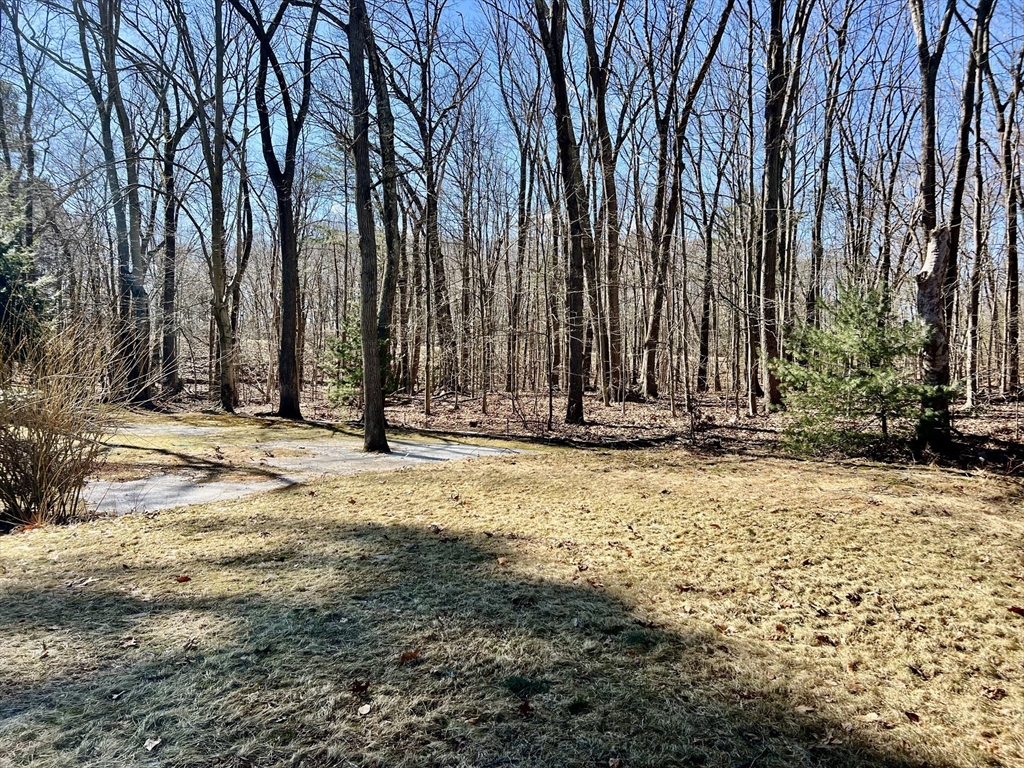 3 bed, 1 bath apartment for rent at 45 Maiden Ln, Wayland — photo 21 of 25