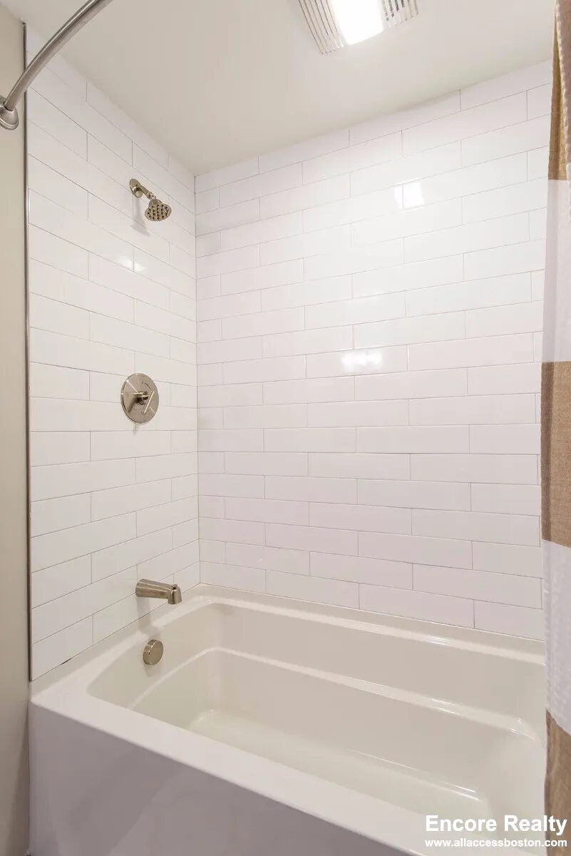 1 bed, 1 bath apartment for rent at 45 Marion St Unit 207, Coolidge Corner — photo 10 of 20