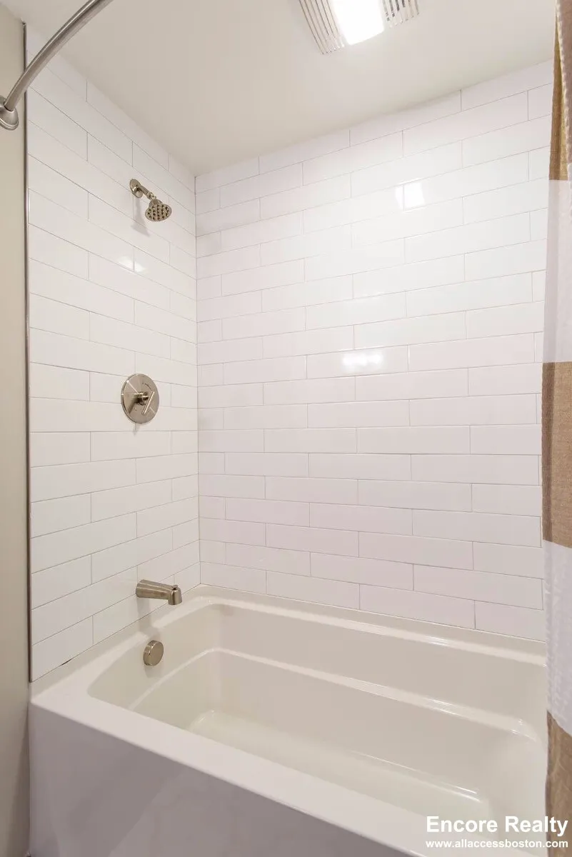 1 bed, 1 bath apartment for rent at 45 Marion St Unit 215, Coolidge Corner — photo 9 of 10