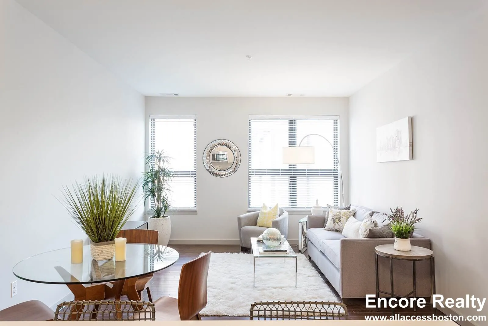 1 bed, 1 bath apartment for rent at 45 Marion St Unit 215, Coolidge Corner — photo 6 of 10