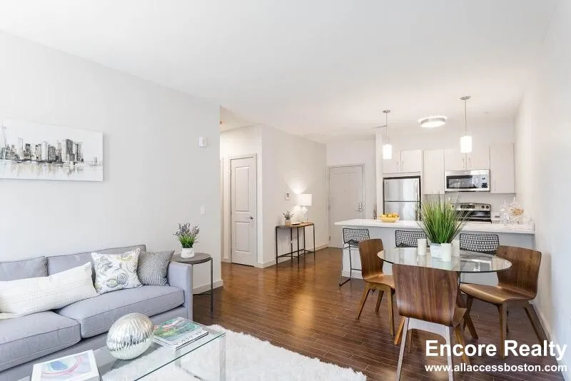 1 bed, 1 bath apartment for rent at 45 Marion St Unit 215, Coolidge Corner — photo 1 of 10
