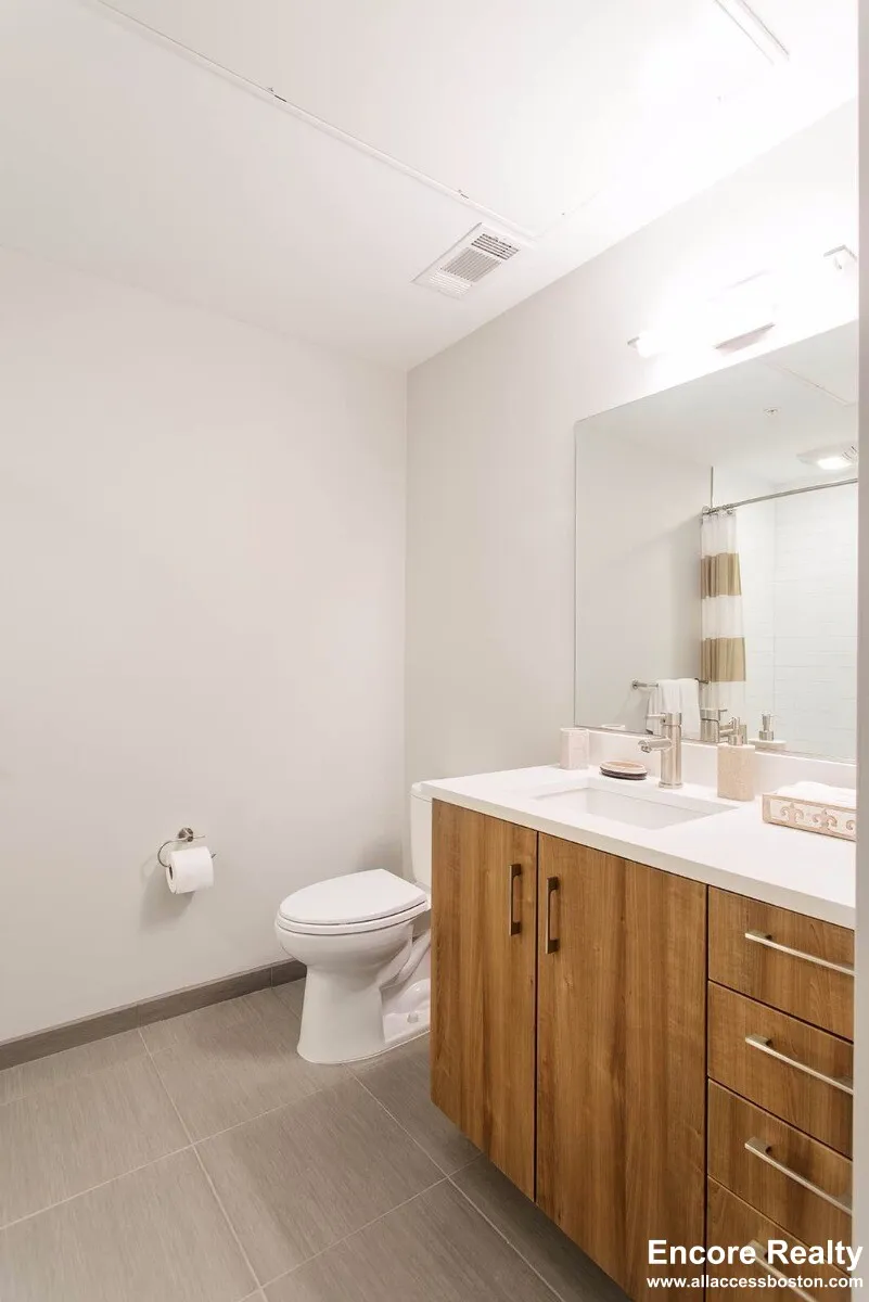 1 bed, 1 bath apartment for rent at 45 Marion St Unit 215, Coolidge Corner — photo 10 of 10