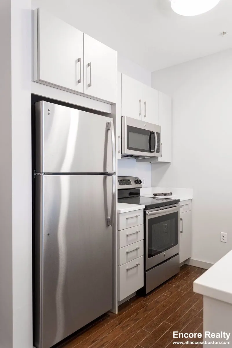 1 bed, 1 bath apartment for rent at 45 Marion St Unit 2215, Coolidge Corner — photo 4 of 10