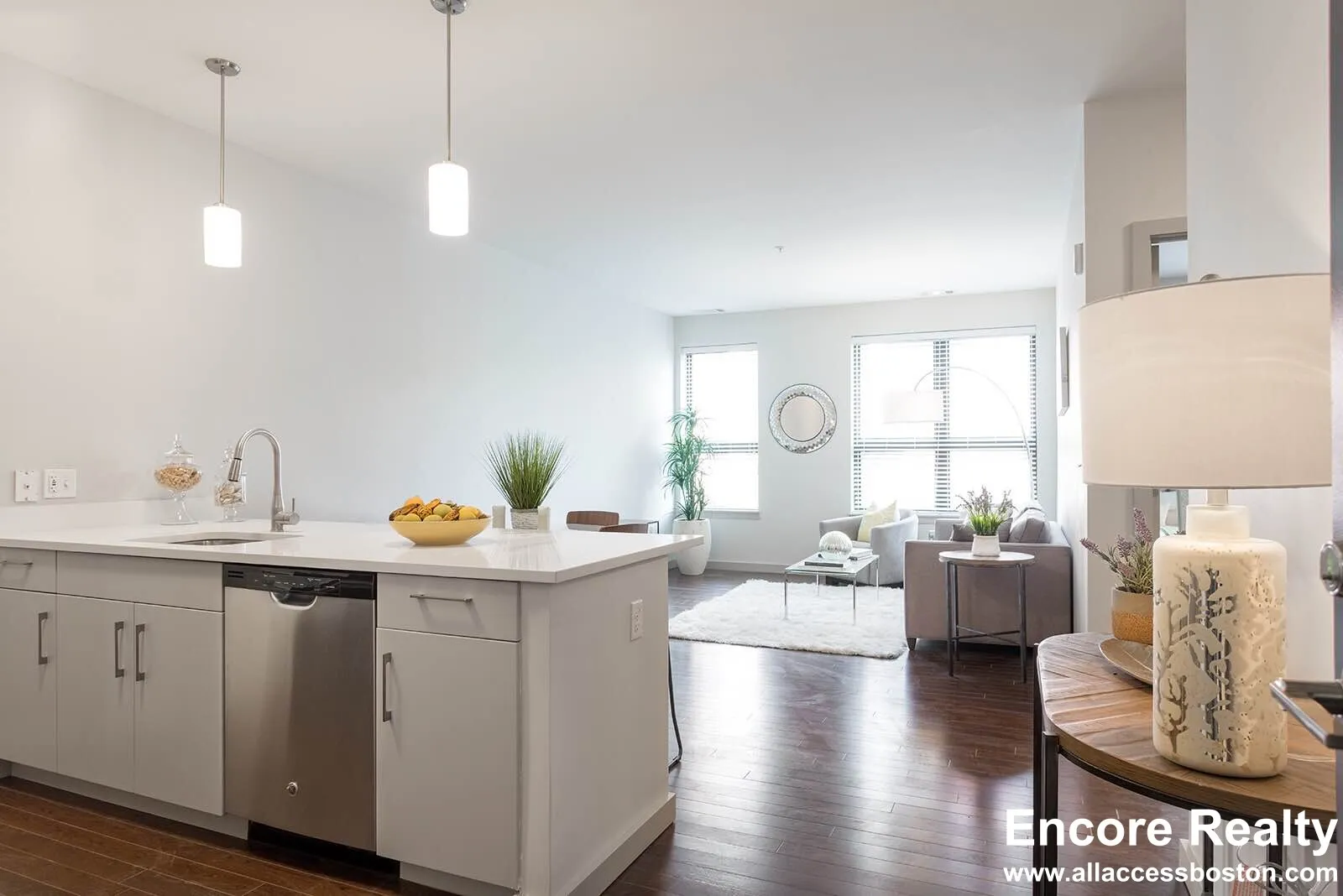 1 bed, 1 bath apartment for rent at 45 Marion St Unit 245, Coolidge Corner — photo 5 of 10