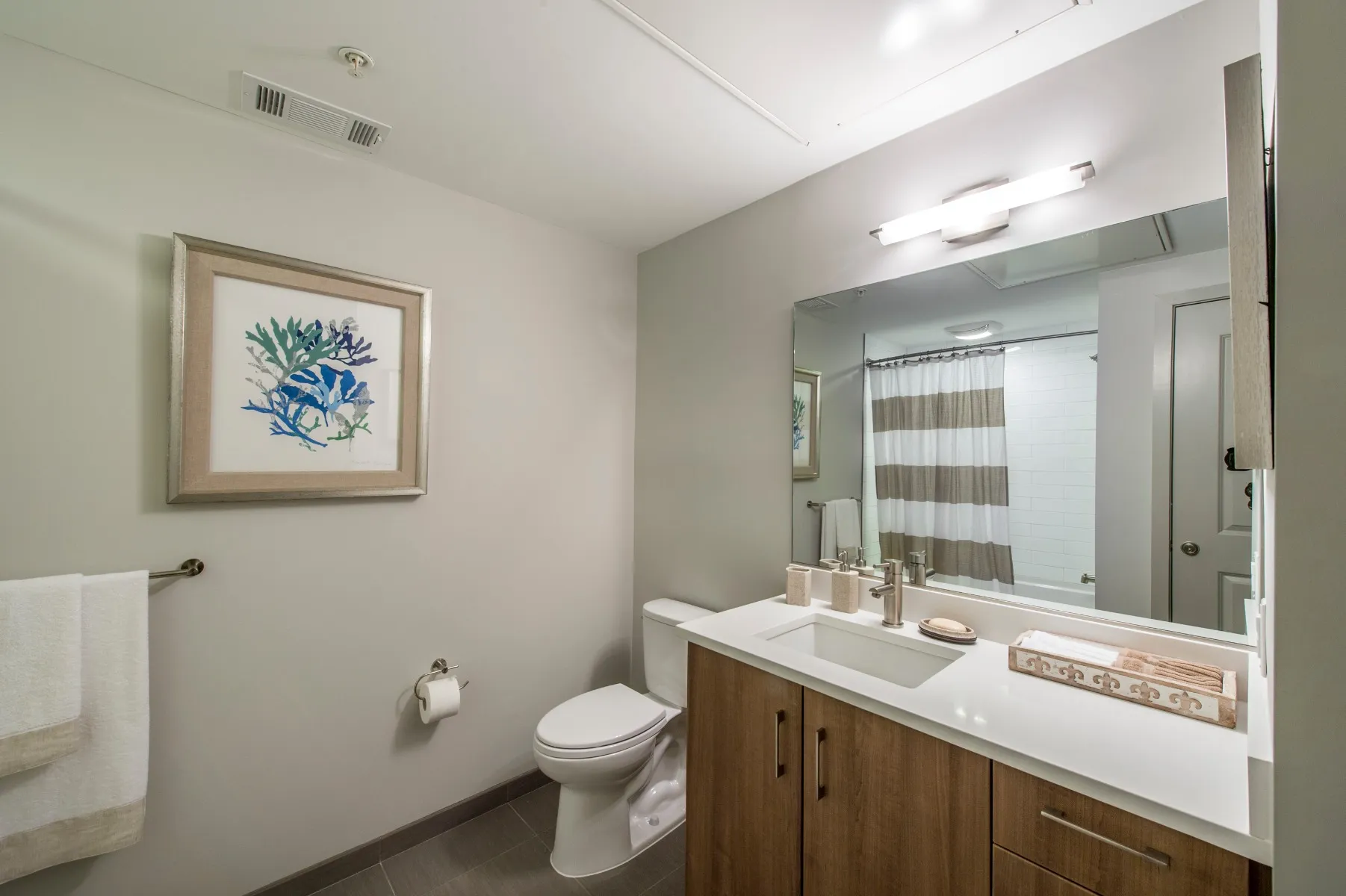 1 bed, 1 bath apartment for rent at 45 Marion St Unit 312, Coolidge Corner — photo 6 of 13