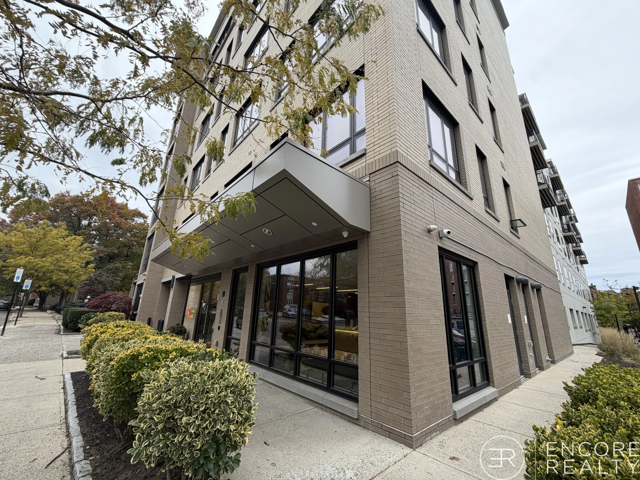 1.5 bed, 1 bath apartment for rent at 45 Marion St Unit 404, Coolidge Corner — photo 10 of 18