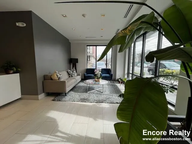 1.5 bed, 1 bath apartment for rent at 45 Marion St Unit 404, Coolidge Corner — photo 13 of 18