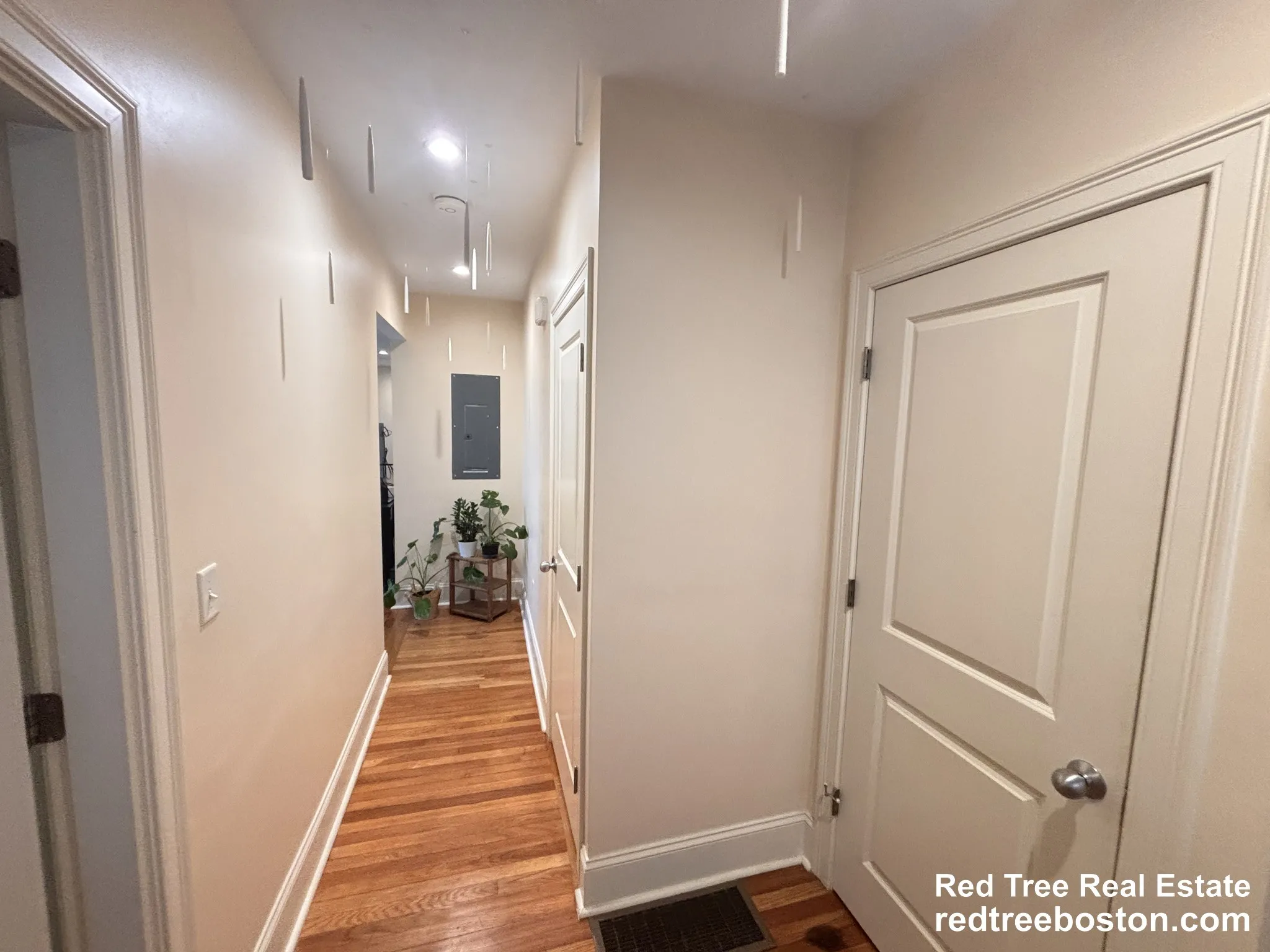 3 bed, 1 bath apartment for rent at 45 Matchett St Unit -, Brighton — photo 5 of 11