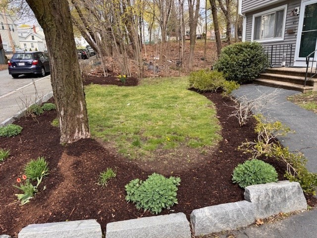 2 bed, 1 bath apartment for rent at 45 Park St Unit 45, Woburn — photo 4 of 24