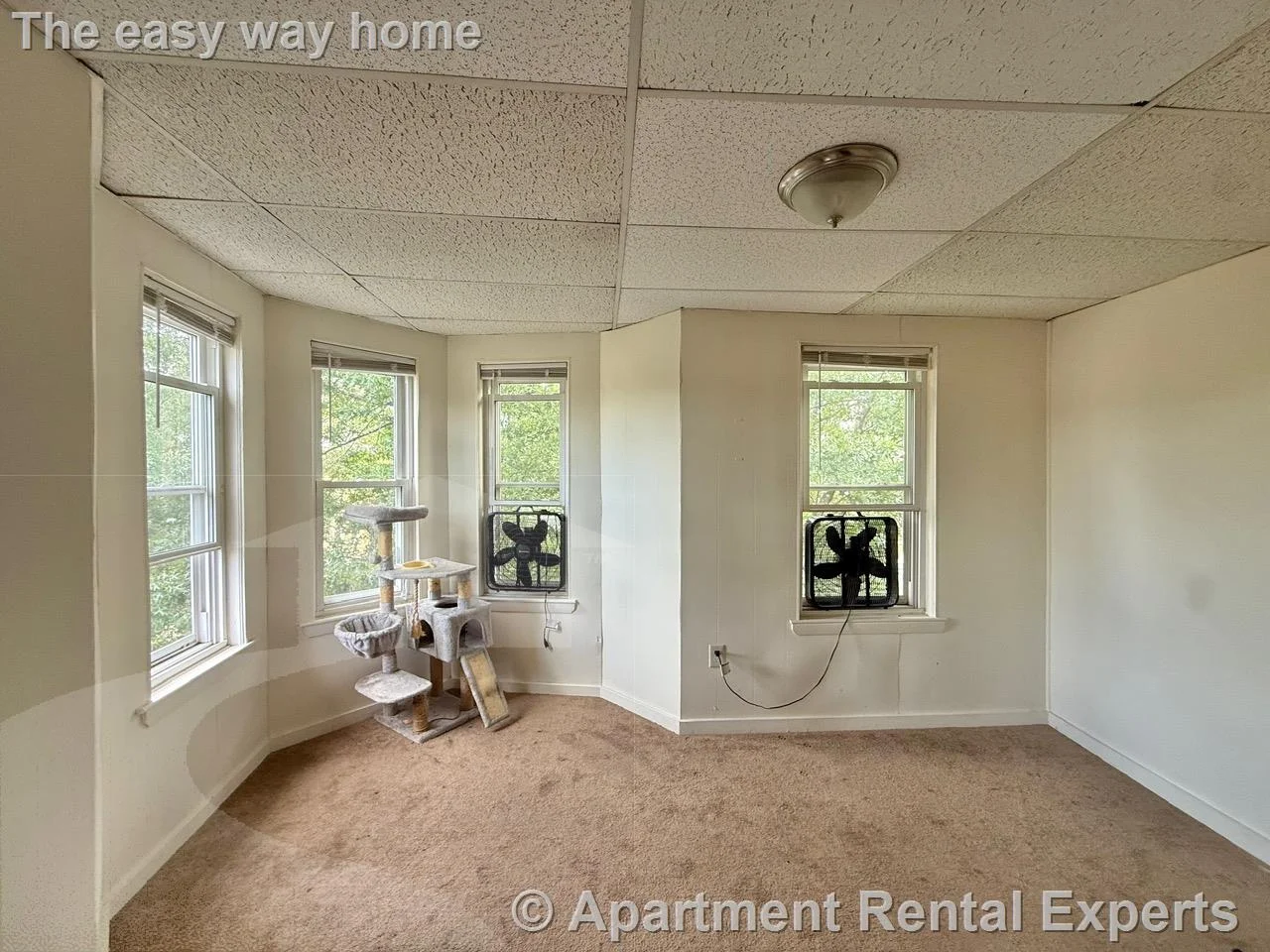 1 bed, 1 bath apartment for rent at 45 Rice St Unit 3, Porter Square — photo 4 of 11