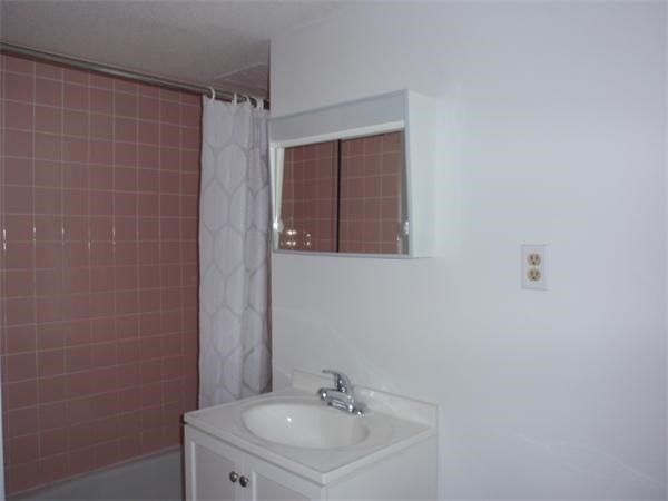 2 bed, 1 bath apartment for rent at 45 Trowbridge St Unit 5C, Harvard Square — photo 7 of 8