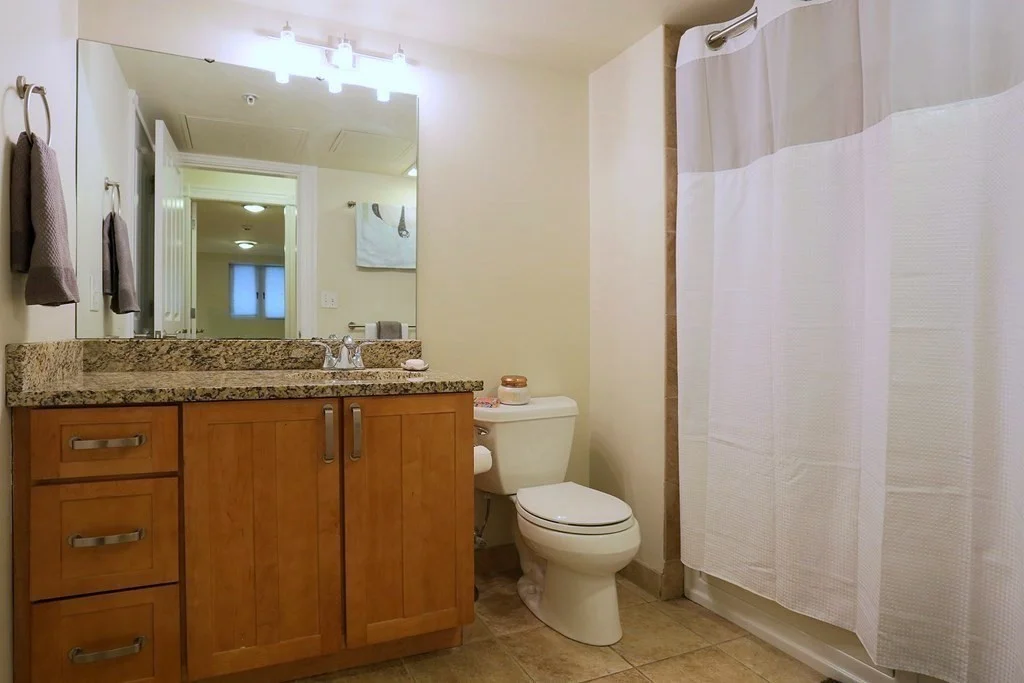 1 bed, 1 bath apartment for rent at 45 Broadway Unit 108, South Boston — photo 7 of 10