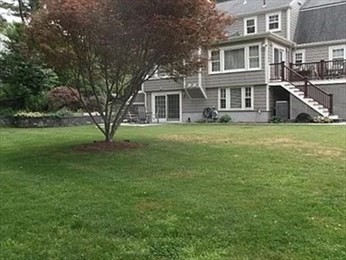 5 bed, 3 bath apartment for rent at 45 Wellesley, Belmont — photo 27 of 28