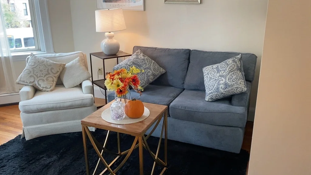 1 bed, 1 bath apartment for rent at 451 Park Dr Unit 3B, Fenway — photo 3 of 8