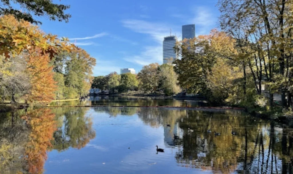 3 bed, 1 bath apartment for rent at 452 Park Dr Unit C, Fenway — photo 10 of 12