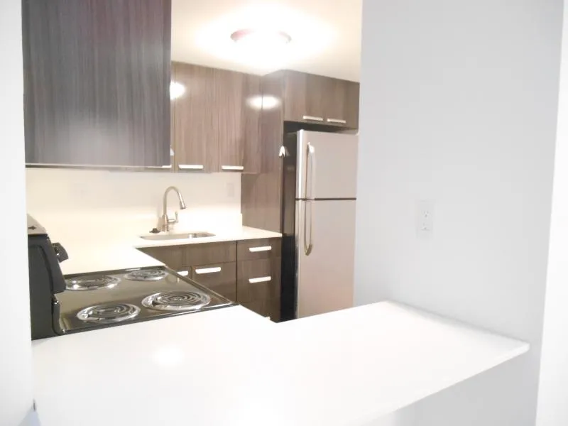 1 bed, 1 bath apartment for rent at 457 Centre St Unit C, Newton Corner — photo 2 of 11