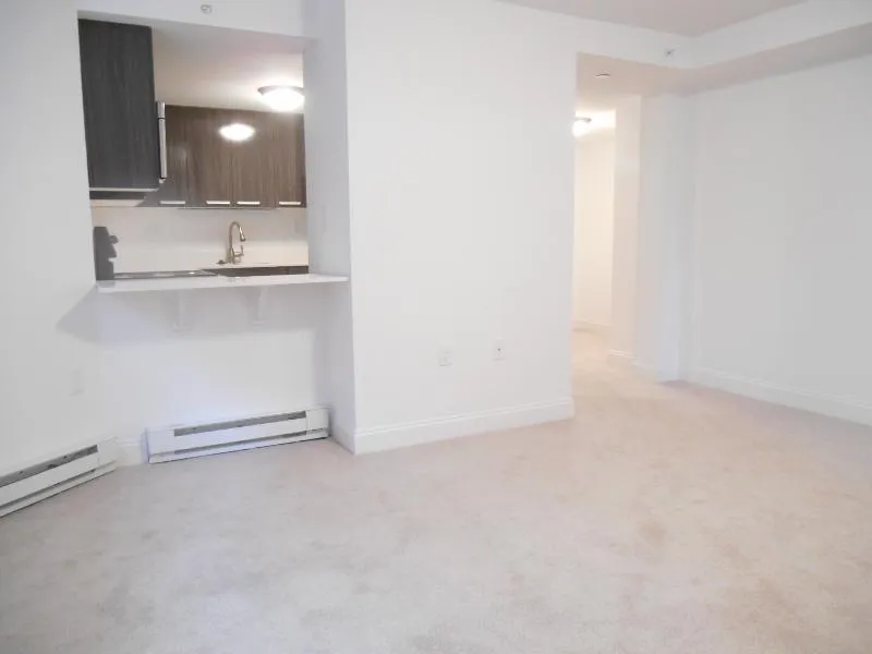 1 bed, 1 bath apartment for rent at 457 Centre St Unit C, Newton Corner — photo 4 of 11
