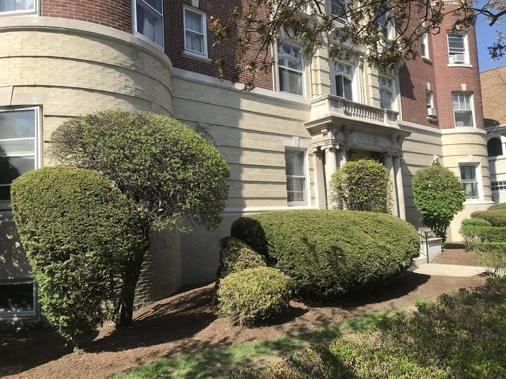 1 bed, 1 bath apartment for rent at 457 Washington St Unit 13, Newton — photo 3 of 32