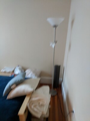 1 bed, 1 bath apartment for rent at 457 Washington St Unit 6, Newton Corner — photo 4 of 7