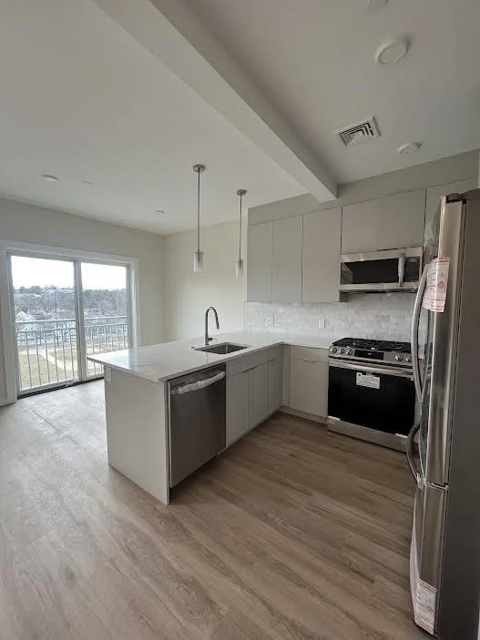 2 bed, 2 bath apartment for rent at 458 Washington St Unit 307, Brighton — photo 2 of 10