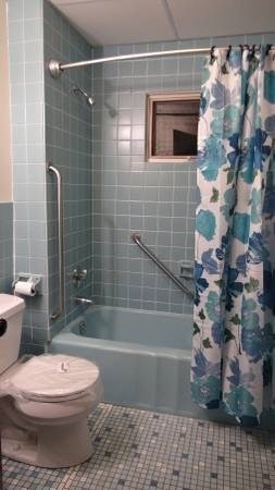 5 bed, 2 bath apartment for rent at 46 Chandler St, Waverley — photo 17 of 20