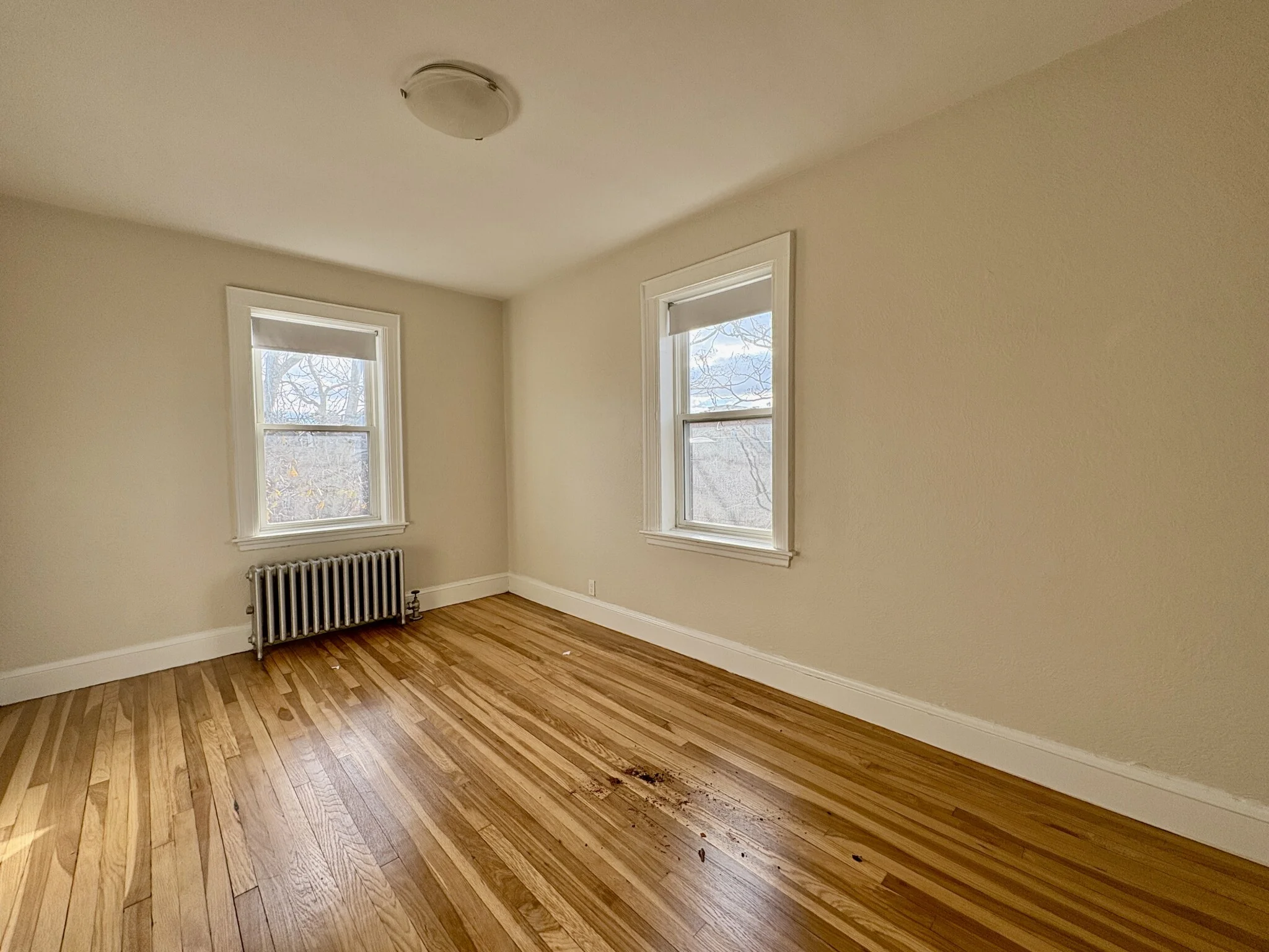 1 bed, 1 bath apartment for rent at 46 Englewood Ave Unit 14, Brighton — photo 5 of 11