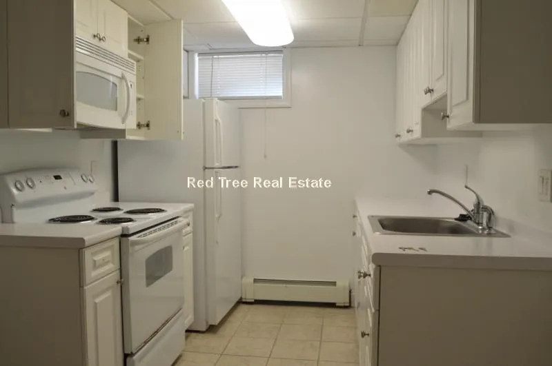 1 bed, 1 bath apartment for rent at 46 Harvard Ave Unit Br, Allston