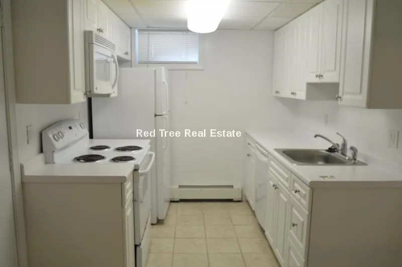 1 bed, 1 bath apartment for rent at 46 Harvard Ave Unit Br, Allston — photo 4 of 7