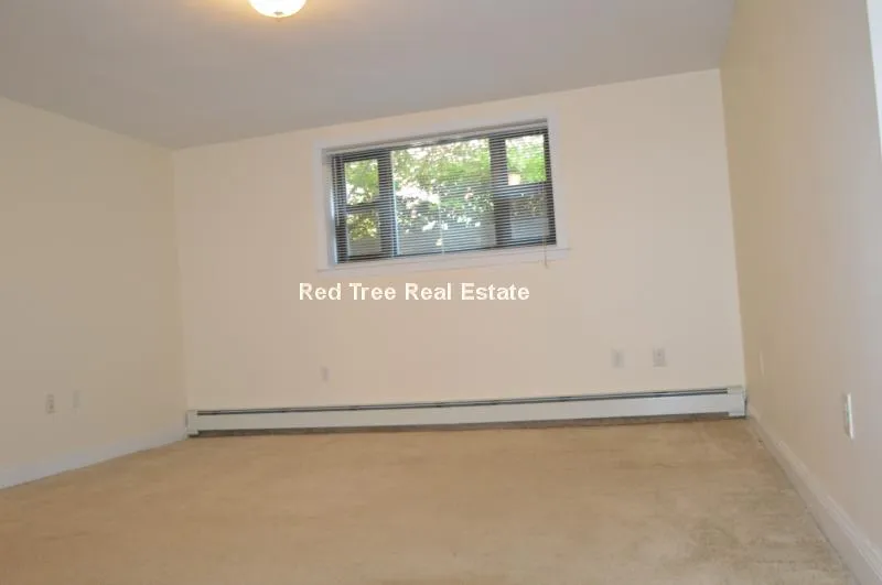 1 bed, 1 bath apartment for rent at 46 Harvard Ave Unit Br, Allston — photo 6 of 7
