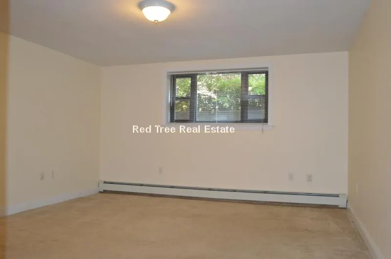 1 bed, 1 bath apartment for rent at 46 Harvard Ave Unit Br, Allston — photo 7 of 7