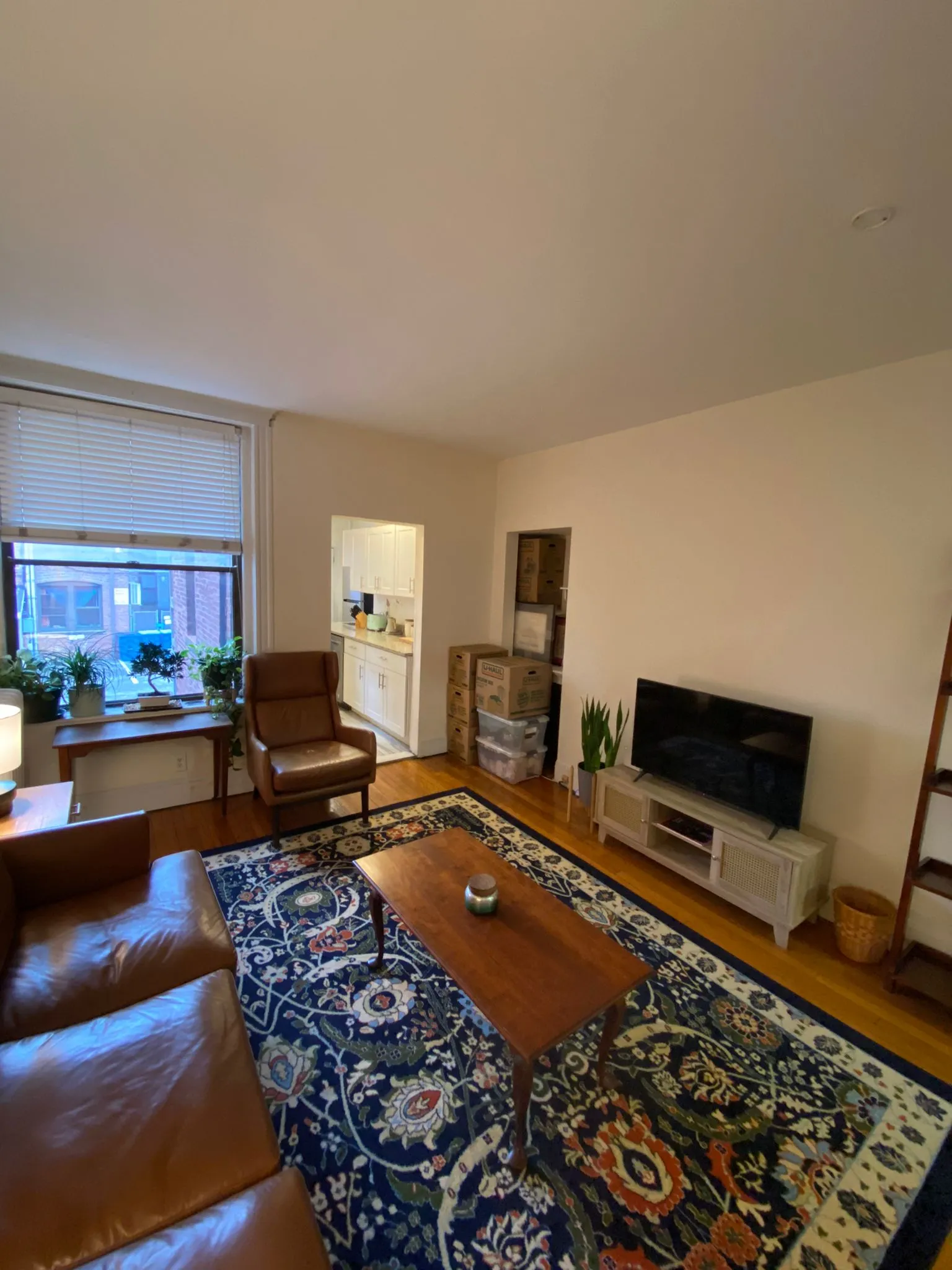 2 bed, 1 bath apartment for rent at 46 Orkney Rd Unit 2, Brighton — photo 6 of 15