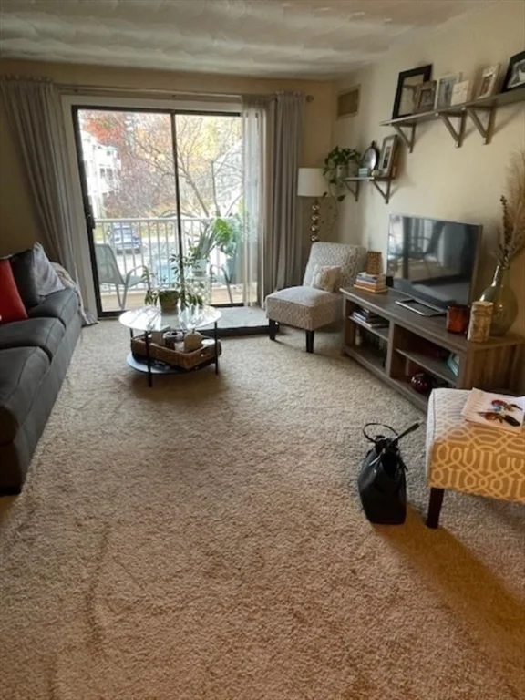 1 bed, 1 bath apartment for rent at 46 Silver Hill Ln Unit 5, Natick — photo 5 of 10