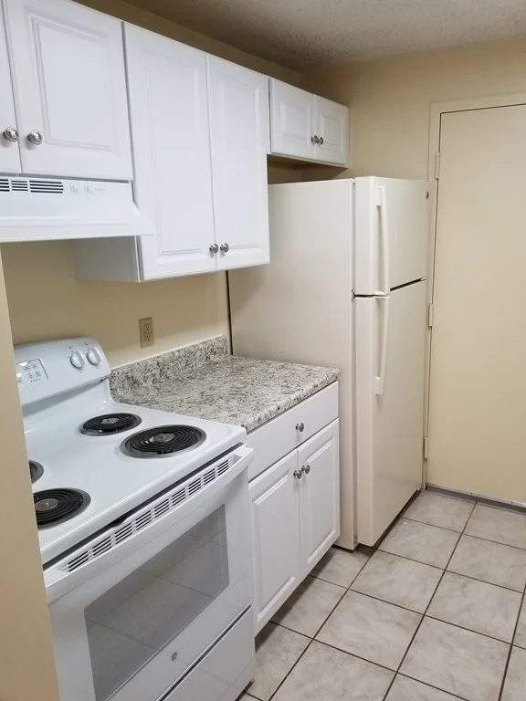 1 bed, 1 bath apartment for rent at 46 Silver Hill Unit 10, Natick — photo 4 of 19