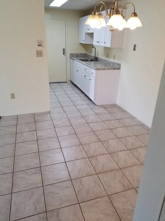 1 bed, 1 bath apartment for rent at 46 Silver Hill Unit 10, Natick — photo 6 of 19