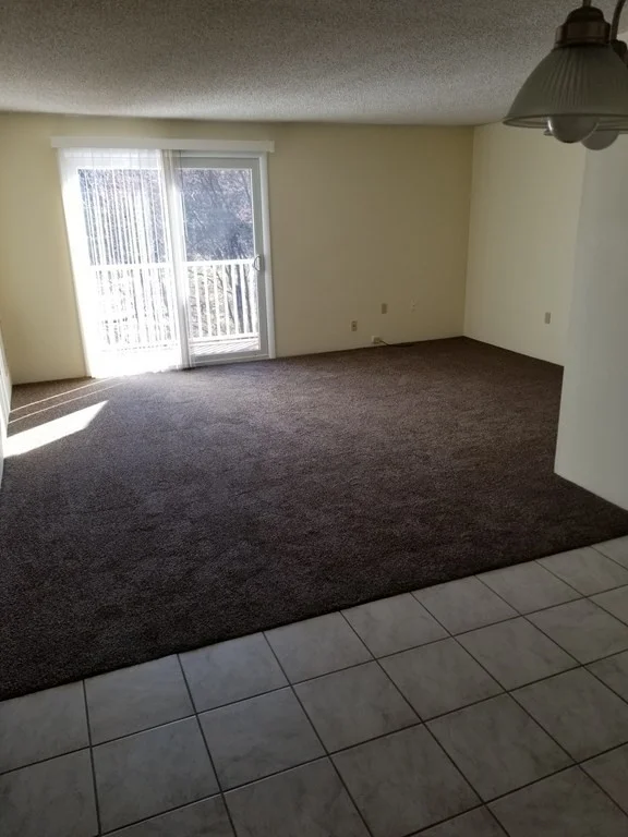 1 bed, 1 bath apartment for rent at 46 Silver Hill Unit 10, Natick — photo 8 of 19