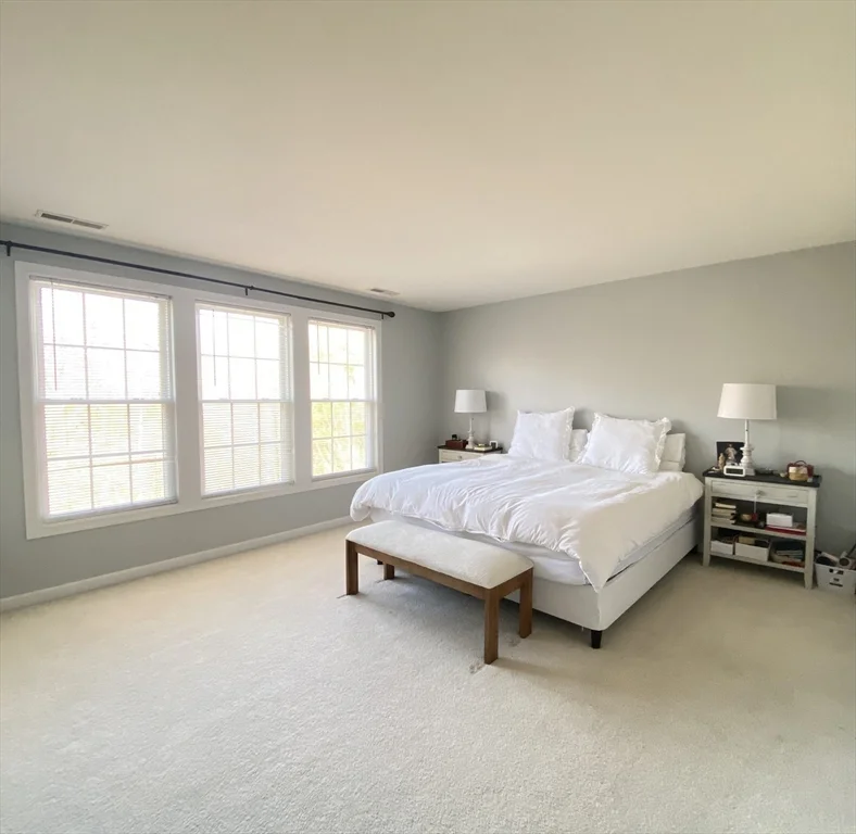 3 bed, 2 bath apartment for rent at 46 Tulip Cir Unit 46, Grafton — photo 14 of 29