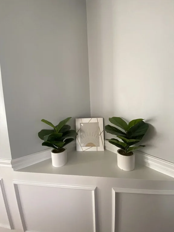 3 bed, 2 bath apartment for rent at 46 Tulip Cir Unit 46, Grafton — photo 2 of 29