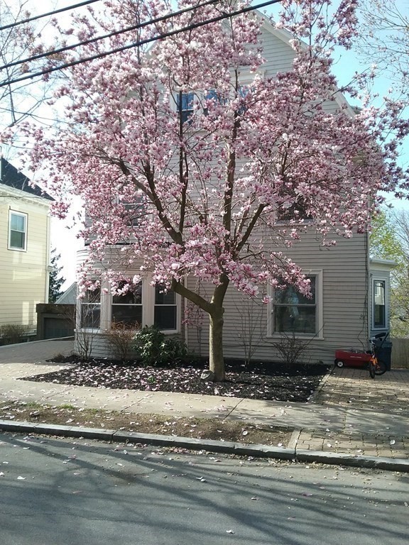 6 bed, 5.5 bath apartment for rent at 46 York Ter Unit 1, Corey Hill — photo 16 of 16