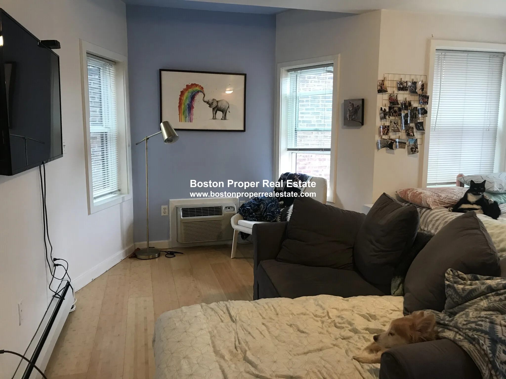 Studio bed, 1 bath apartment for rent at 461 Park Dr Unit 304, Fenway — photo 5 of 12