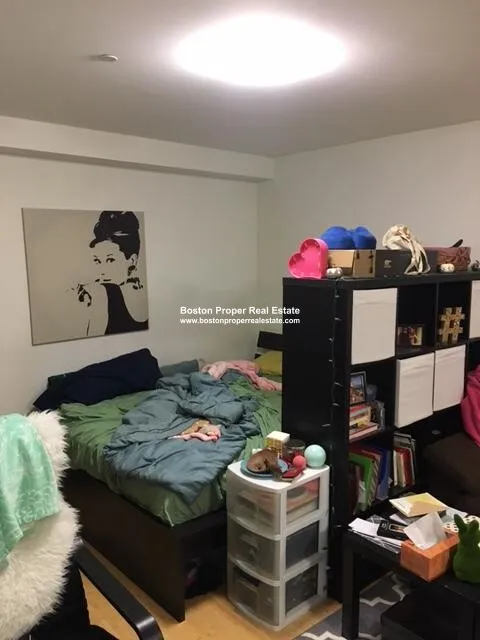 Studio bed, 1 bath apartment for rent at 461 Park Dr Unit 401, Fenway — photo 13 of 15