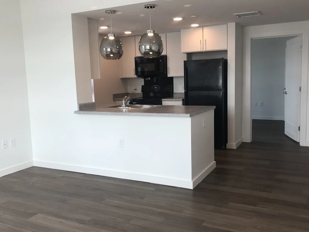 2 bed, 1 bath apartment for rent at 466 River St Unit 205, Mattapan — photo 2 of 17